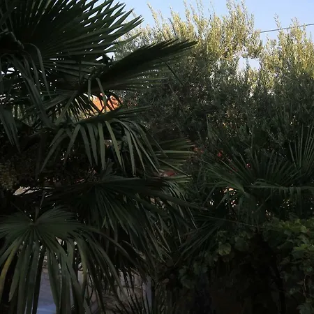 Apartman With A Parking Space - 7061 Umag